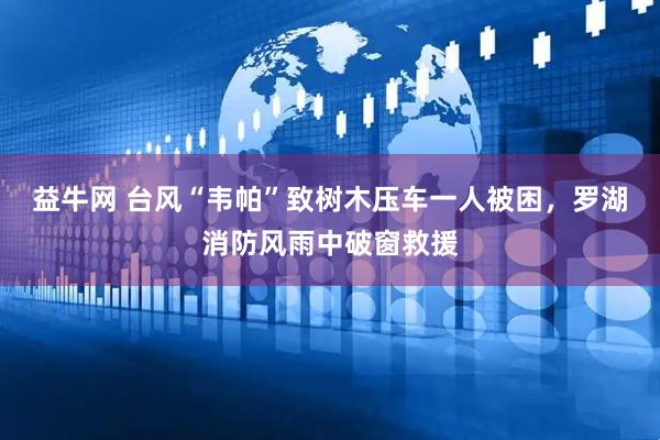 益牛网 台风“韦帕”致树木压车一人被困，罗湖消防风雨中破窗救援