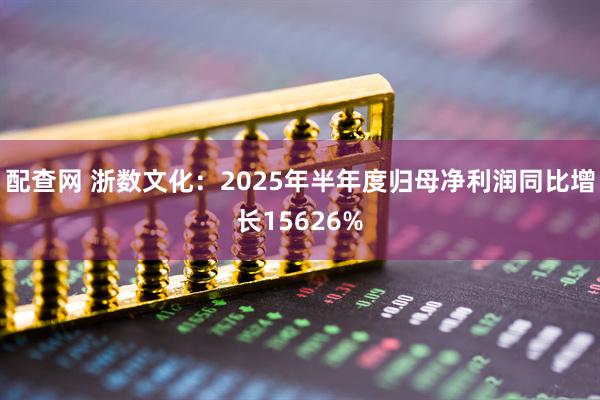 配查网 浙数文化：2025年半年度归母净利润同比增长15626%